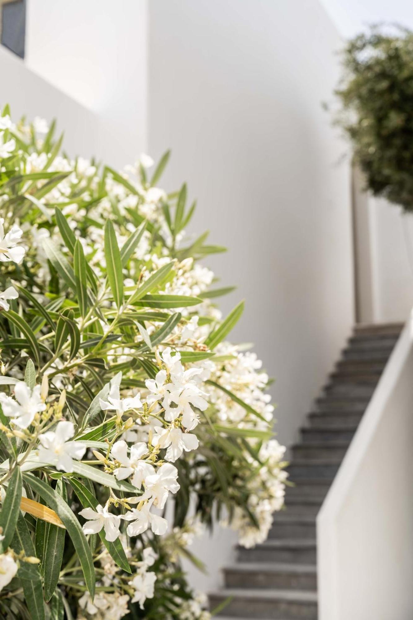 Philosophy Of Mykonos Boutique Hotel Mykonos Town Exterior photo