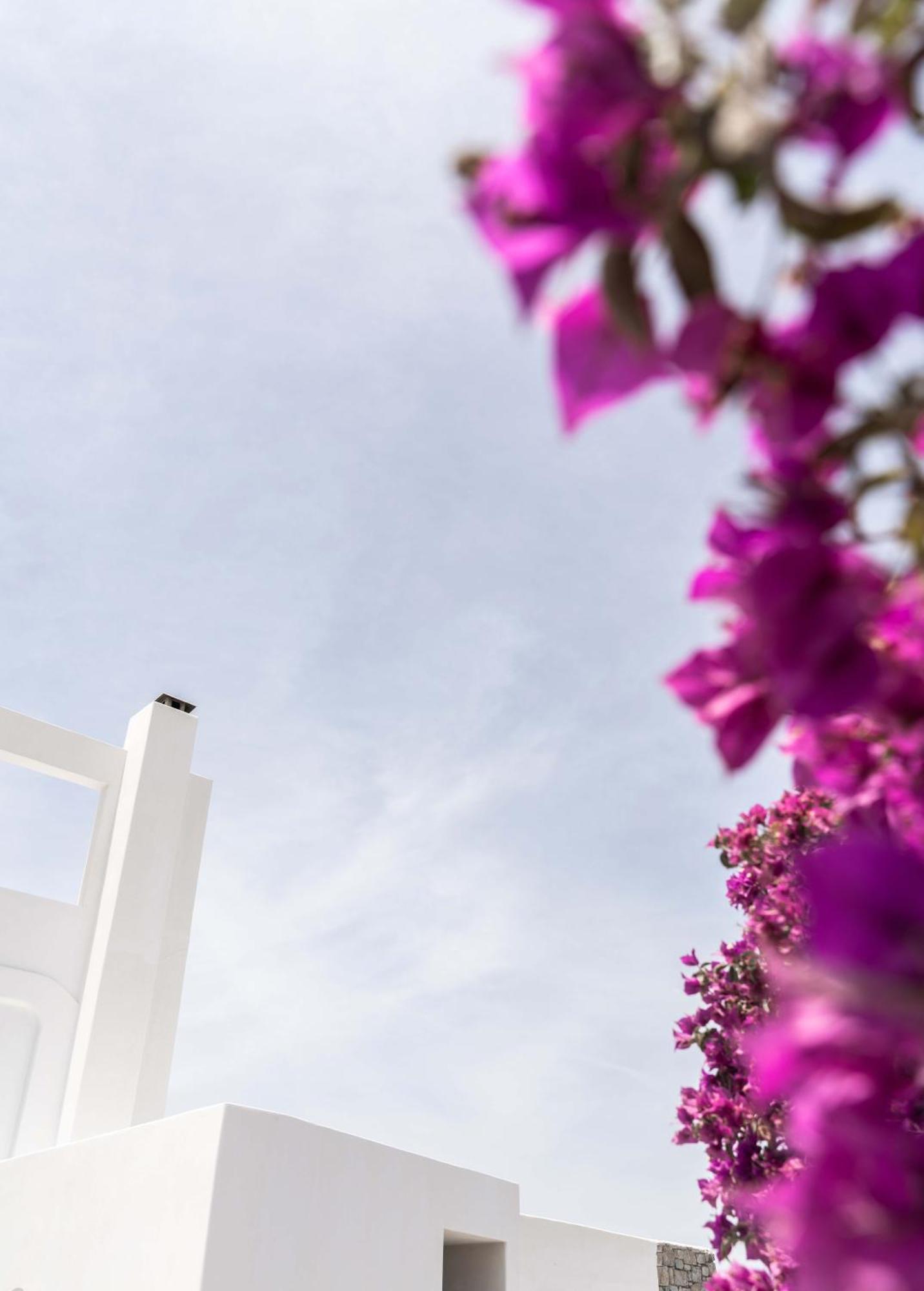 Philosophy Of Mykonos Boutique Hotel Mykonos Town Exterior photo
